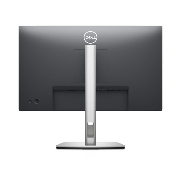DELL P Series 24 monitor - P2422H (210-AZYX)
