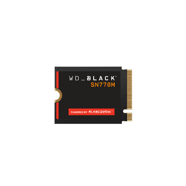 Western Digital WD_BLACK SN770M WDS100T3X0G - 1TB - PC (WDS100T3X0G)