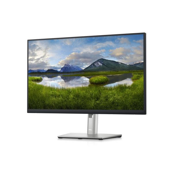DELL P Series 24 inch QHD Monitor - P2423D (DELL-P2423D)