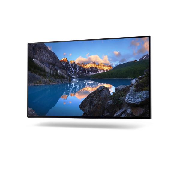 DELL UltraSharp 24 monitor - U2422H (DELL-U2422H)