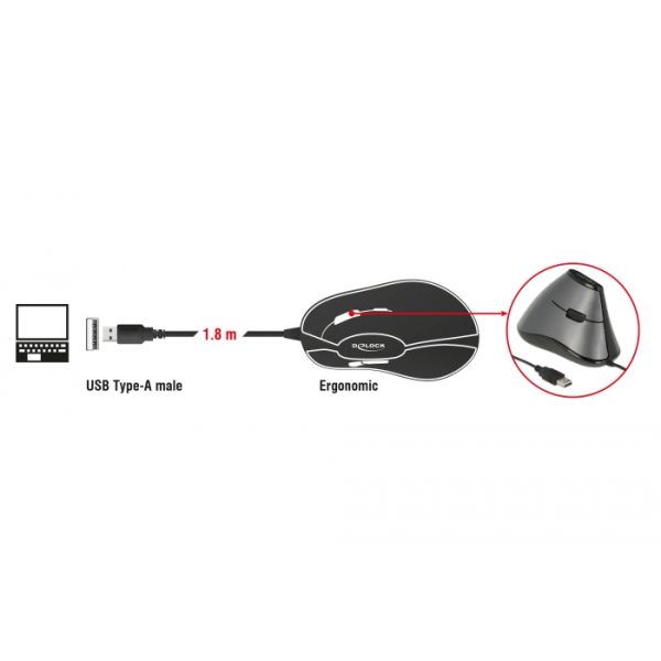 DeLOCK 12527 muis Rechtshandig USB Type-A Optisch 800 DPI (12527)