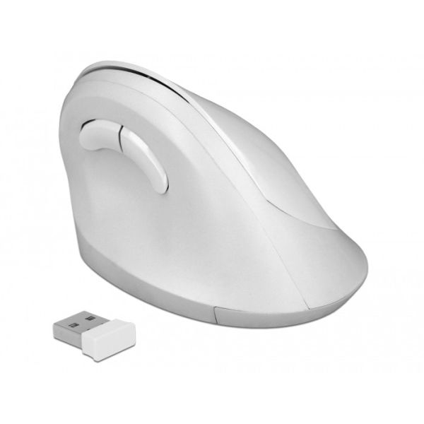 DeLOCK 12596 muis Rechtshandig RF Draadloos 1600 DPI (12596)