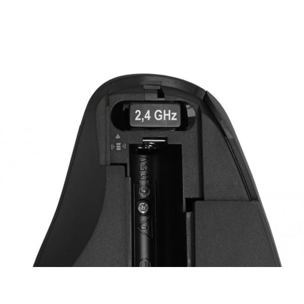 DeLOCK 12598 muis Rechtshandig Bluetooth + USB Type-A 1600 DPI (12598)