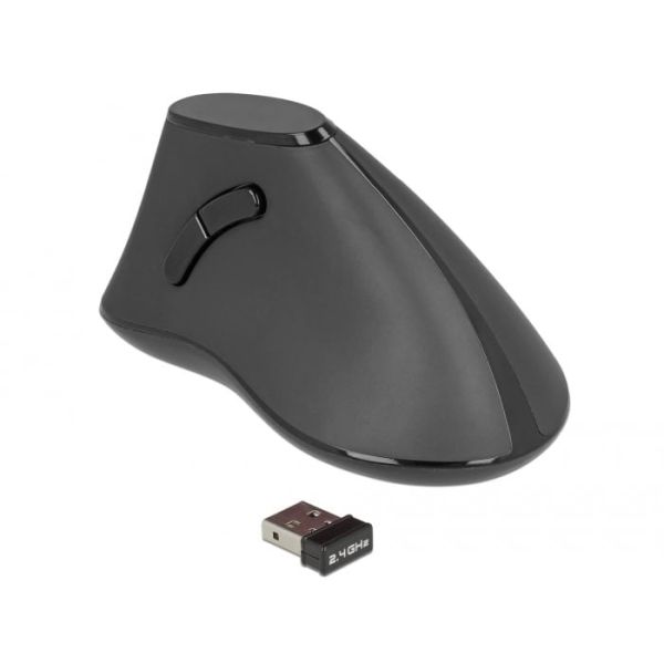 DeLOCK 12622 muis Rechtshandig RF Draadloos Optisch 1000 DPI (12622)