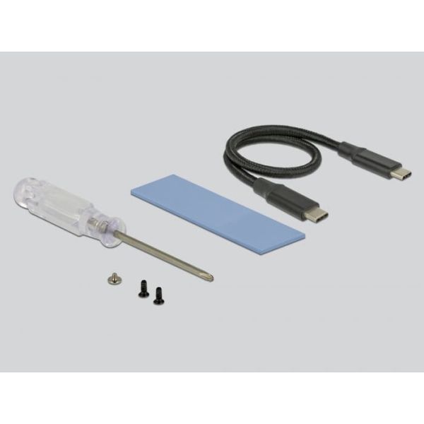 DeLOCK 42600 interfacekaart/-adapter USB 3.2 Gen 1 (3.1 Gen 1) (42600)