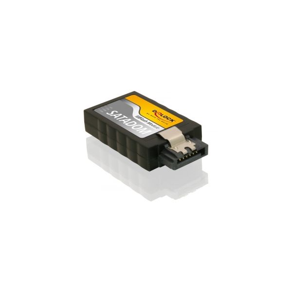 DeLOCK 54351 internal solid state drive 2 GB (54351)