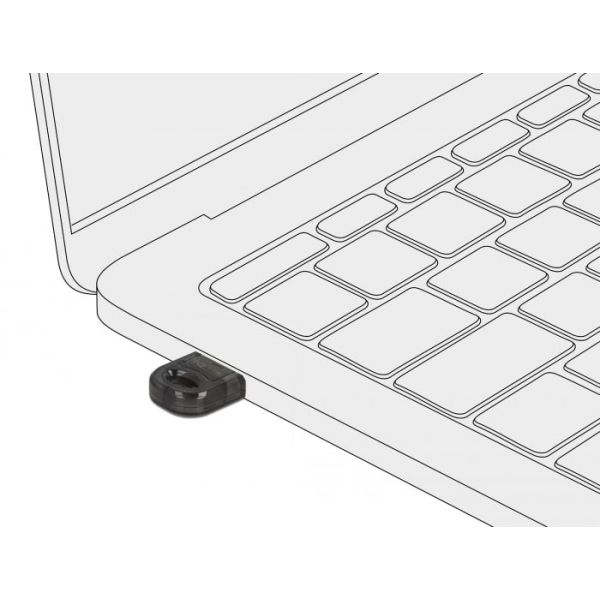 DeLOCK 61012 netwerkkaart Bluetooth 3 Mbit/s (61012)