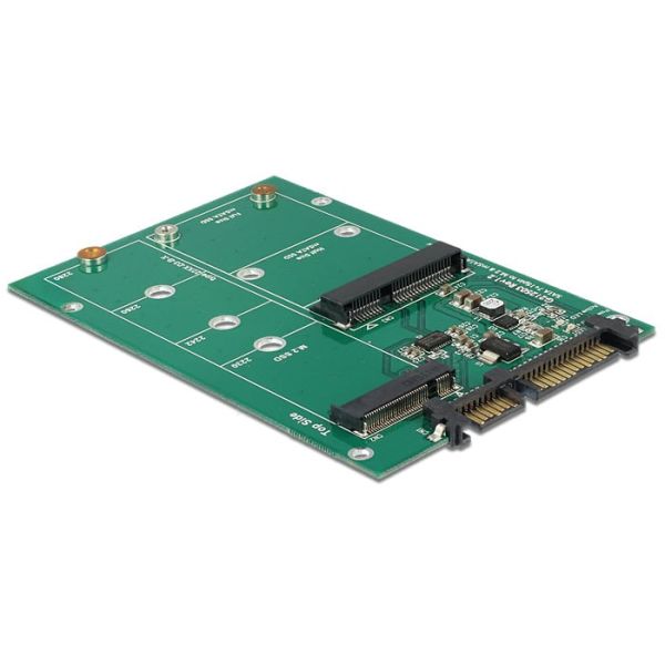 DeLOCK 62670 interfacekaart/-adapter Intern M.2, mSATA (62670)