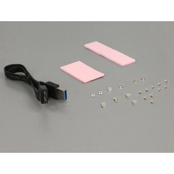 DeLOCK 62731 interfacekaart/-adapter Intern USB 3.2 Gen 1 (3.1 Gen 1) (62731)