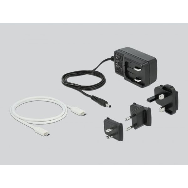 DeLOCK 63084 basisstation voor opslagstations USB 3.2 Gen 2 (3.1 Gen 2) Type-C Wit (63084)
