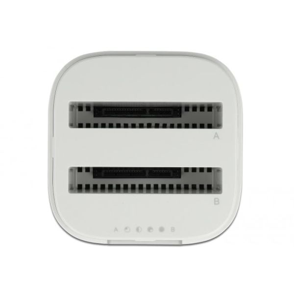 DeLOCK 63084 basisstation voor opslagstations USB 3.2 Gen 2 (3.1 Gen 2) Type-C Wit (63084)