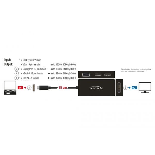 DeLOCK 63929 interface hub USB 2.0 Type-C Zwart (63929)