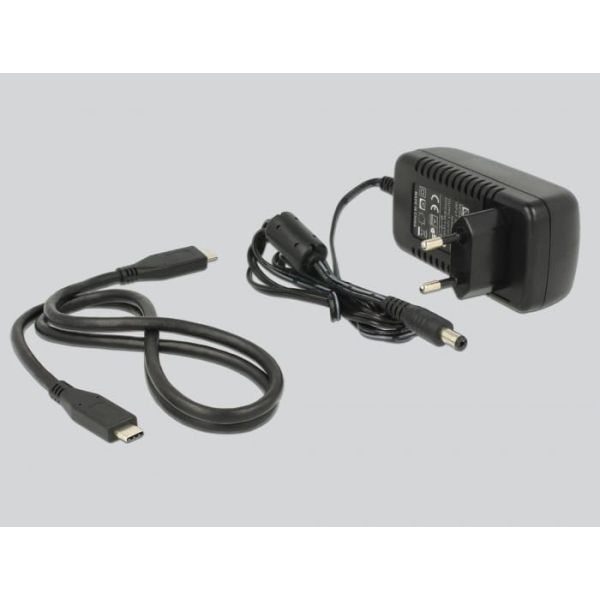 DeLOCK 63958 basisstation voor opslagstations USB 3.2 Gen 2 (3.1 Gen 2) Type-C Zwart (63958)