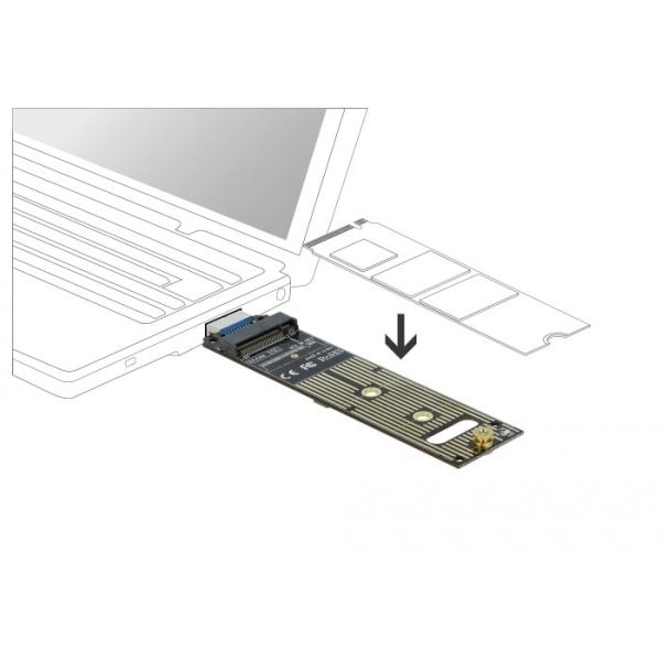 DeLOCK 64069 interfacekaart/-adapter Intern M.2 (64069)
