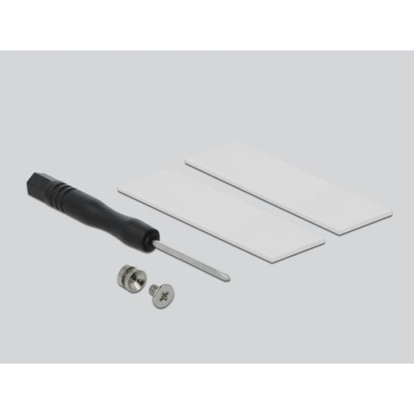 DeLOCK 64105 interfacekaart/-adapter M.2 (64105)