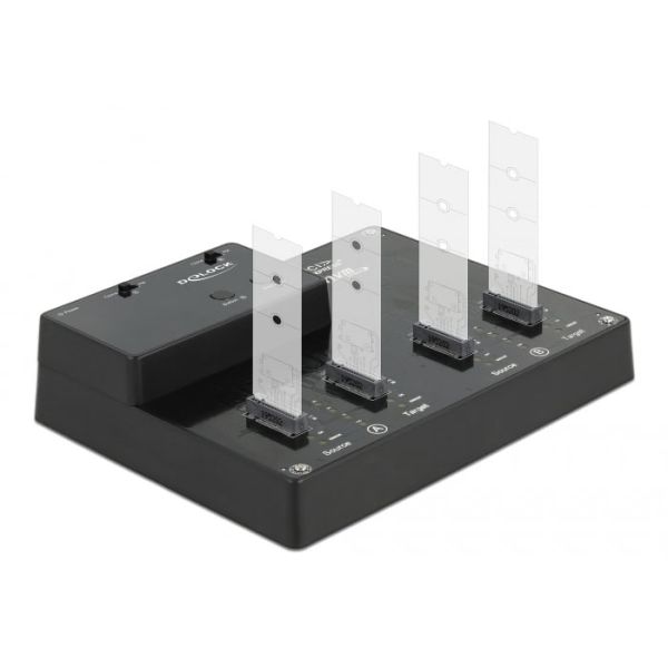 DeLOCK 64124 basisstation voor opslagstations USB 3.2 Gen 2 (3.1 Gen 2) Type-C Zwart (64124)