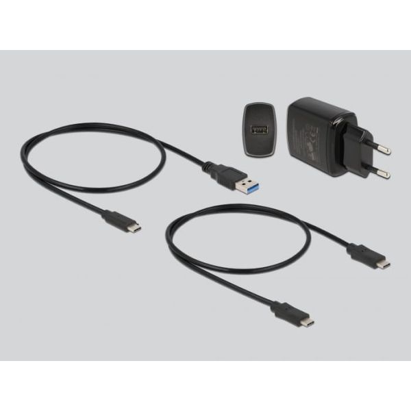 DeLOCK 64178 basisstation voor opslagstations USB 3.2 Gen 2 (3.1 Gen 2) Type-C Zwart (64178)