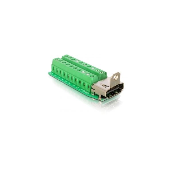 DeLOCK Adapter HDMI female > Terminal Block 20pin (65168)