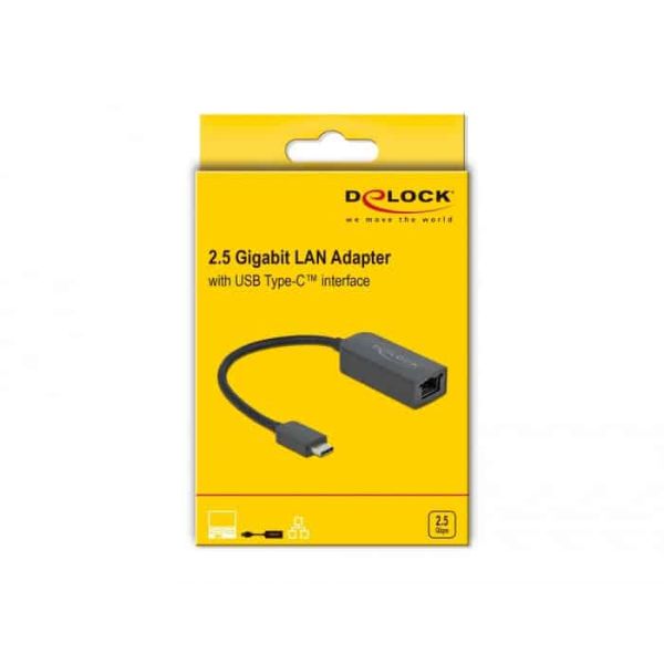 DeLOCK 66645 tussenstuk voor kabels USB Type-C LAN RJ45 Zwart (66645)