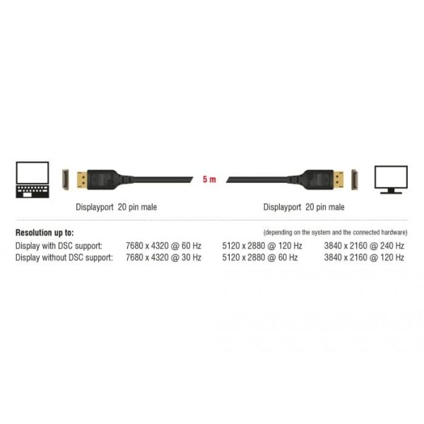 DeLOCK 85658 DisplayPort kabel 1 m Zwart (85658)