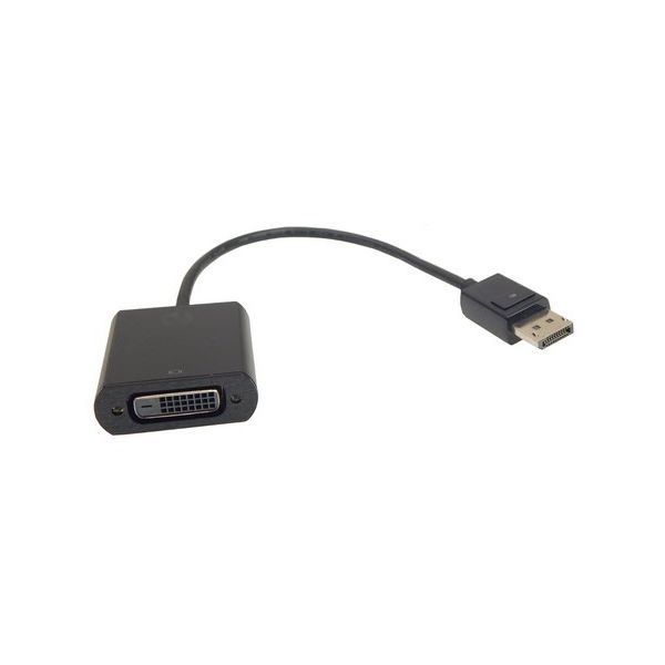 HP 752660-001 video kabel adapter DVI DisplayPort Zwart (752672-001)