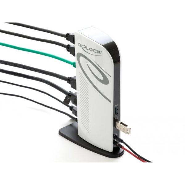 DeLOCK 87771 notebook dock & poortreplicator Bedraad Zwart, Wit (87771)