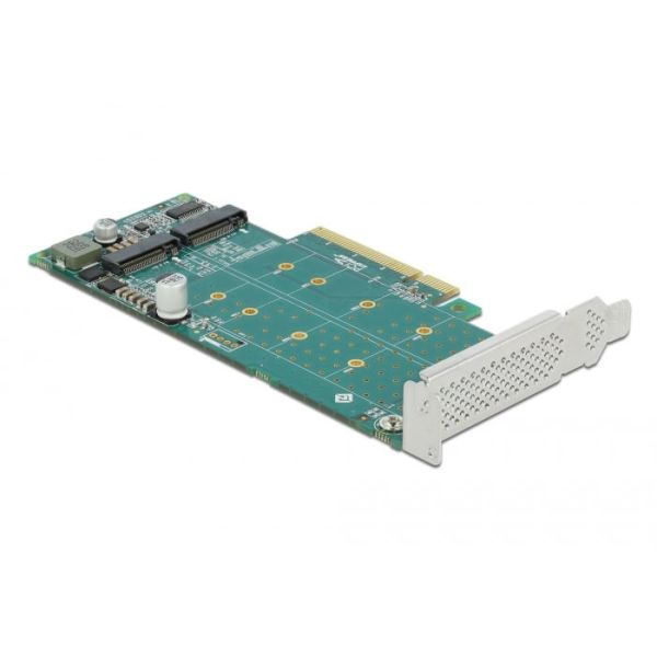 DeLOCK 89045 interfacekaart/-adapter Intern M.2 (89045)