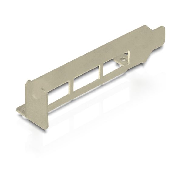 DeLOCK 89281 interfacekaart/-adapter USB 3.2 Gen 1 (3.1 Gen 1) (89281)