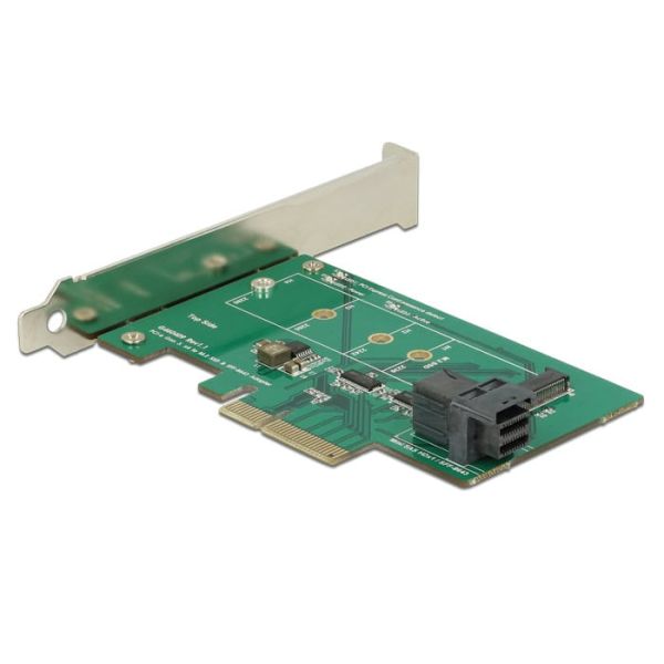 DeLOCK 89517 interfacekaart/-adapter Intern M.2 (89517)