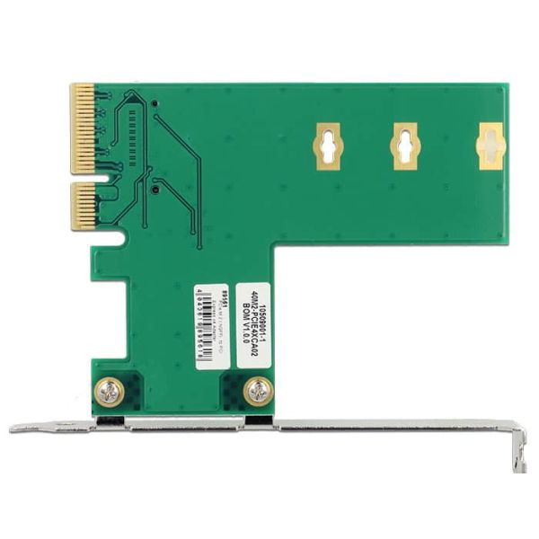 DeLOCK 89561 interfacekaart/-adapter Intern M.2 (89561)