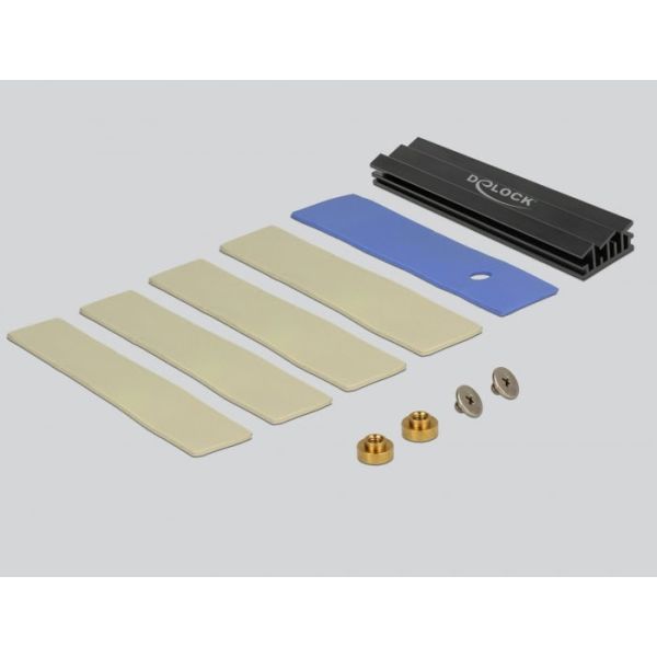 DeLOCK 89630 interfacekaart/-adapter Intern M.2, SATA (89630)