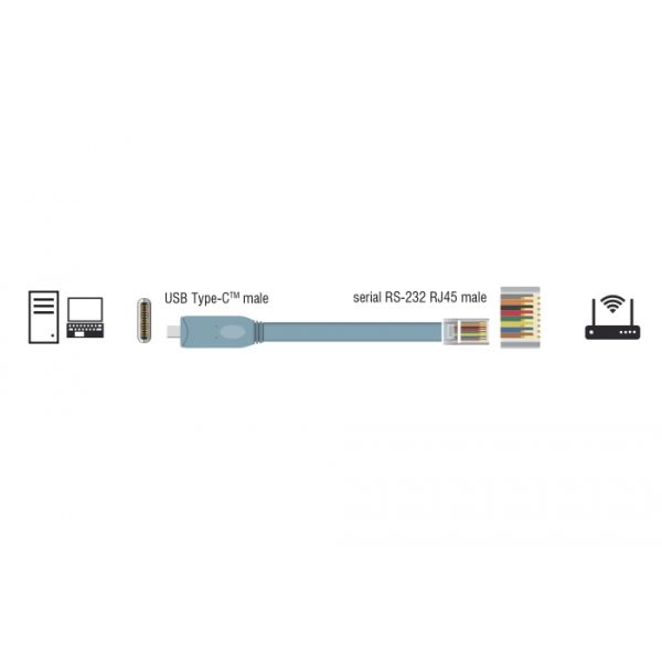 DeLOCK 89893 seriële kabel Grijs 1 m USB 2.0 Type-C RJ45 (89893)