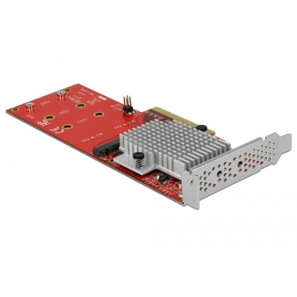 DeLOCK 90305 interfacekaart/-adapter Intern M.2 (90305)