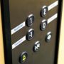 DYMO D1 -Durable Labels - Black on White - 12mm x 5.5m (S0718040) thumbnail