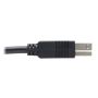 Tripp Lite U328F-15M USB-kabel USB 3.2 Gen 1 (3.1 Gen 1) USB A USB B Zwart (U328F-15M) thumbnail