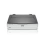 Epson Expression 12000XL A3 Flatbed Scanner (B11B240401) thumbnail