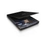 Epson Perfection V39II Flatbed scanner 4800 x 4800 DPI A4 Zwart (B11B268401) thumbnail