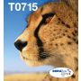 Epson Multipack 4-colours T071 EasyMail (C13T07154511) thumbnail