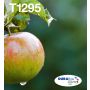 Epson Apple Multipack 4-colours T129 EasyMail (C13T12954511) thumbnail