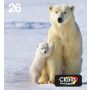 Epson Polar bear Multipack 4-colours 26 EasyMail (C13T26164511) thumbnail