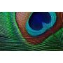 Epson EH-TW7000 (V11H961040) thumbnail