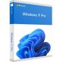 Microsoft Windows 11 Pro 64-bit Slowakisch (FQC-10550) thumbnail