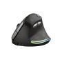 Trust Bayo muis Rechtshandig RF Draadloos Optisch 2400 DPI (24110) thumbnail