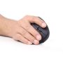 Gembird MUSW-ERGO-01 muis Rechtshandig RF Draadloos Optisch 1600 DPI (MUSW-ERGO-01) thumbnail