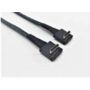 Intel AXXCBL620CRCR Serial Attached SCSI (SAS)-kabel 0,62 m Zwart (AXXCBL620CRCR) thumbnail