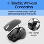 HP 280 Silent Wireless Mouse (19U64AA#ABB) thumbnail