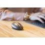 HP Spectre Rechargeable Mouse 700 (Luxe Cooper) (3NZ70AA) thumbnail