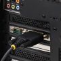 StarTech 2-Port Seriële PCIe Kaart (2S232422485-PC-CARD) thumbnail