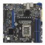 ASUS P13R-M/10G-2T Intel C262 LGA 1700 micro ATX (90SB0CC0-M0UAY0) thumbnail