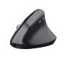 Trust Bayo+ muis Rechtshandig RF-draadloos + Bluetooth Optisch 2400 DPI (25146) thumbnail